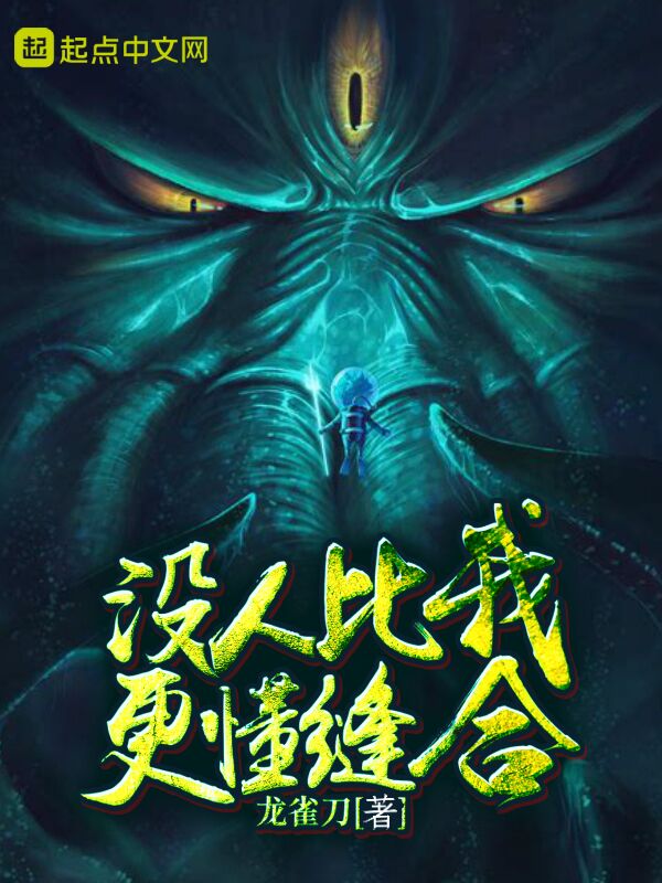 没人比我更懂缝合 封面