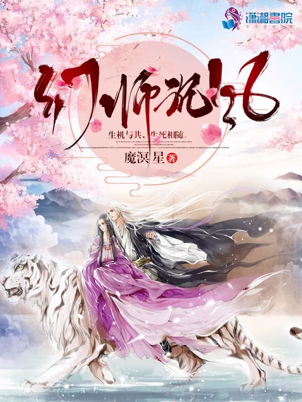 幻师沉风 封面