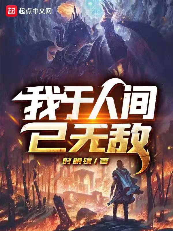 我于人间已无敌 封面