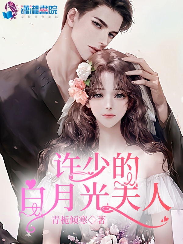 许少的白月光夫人 封面