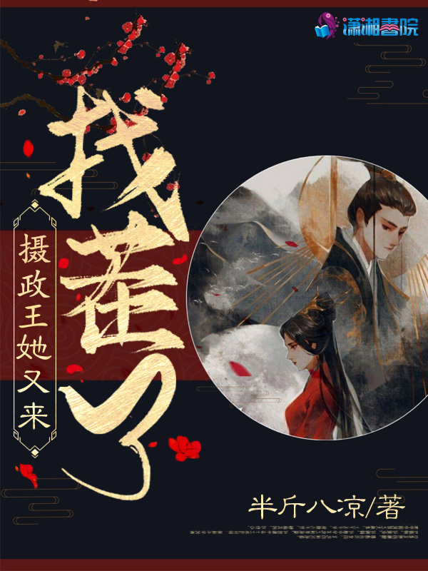 摄政王她又来找茬了 封面
