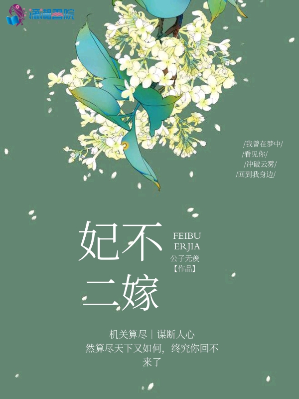 妃不二嫁 封面