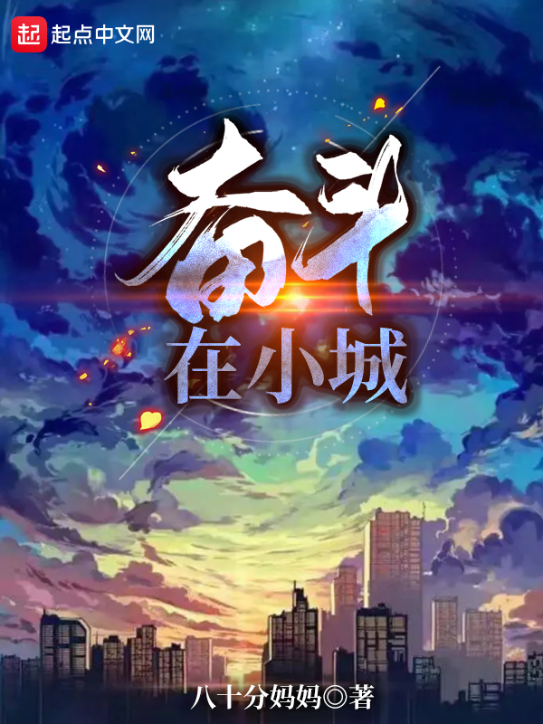 奋斗在小城小说封面
