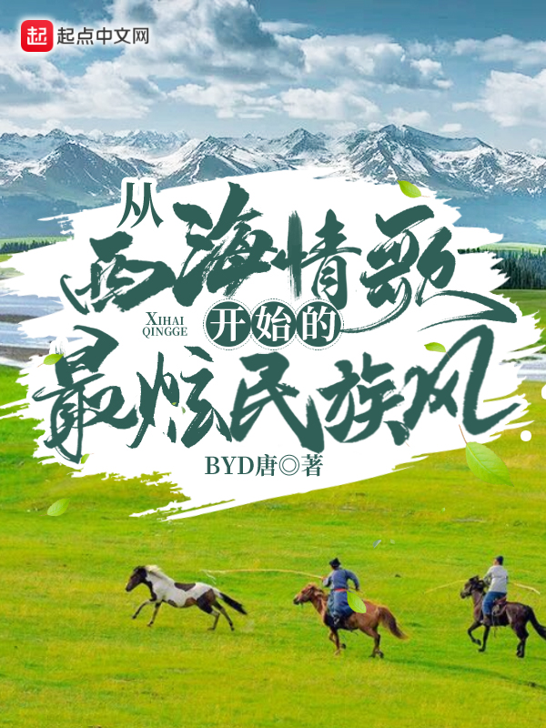 从西海情歌开始的最炫民族风 封面