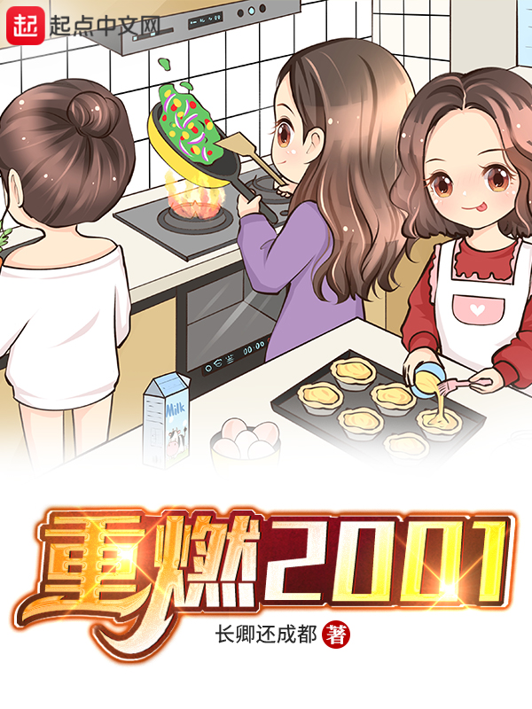 重燃2001 封面