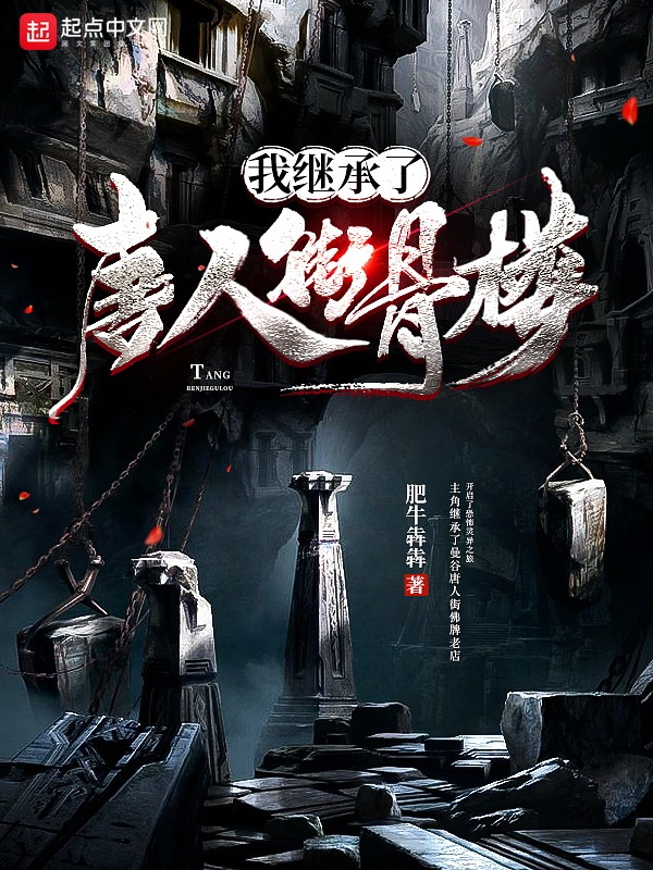 我继承了唐人街骨楼 封面