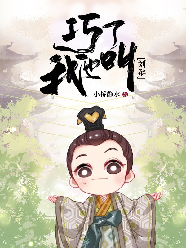 巧了！我也叫刘辩 封面