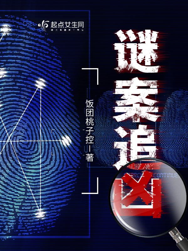 谜案追凶 封面