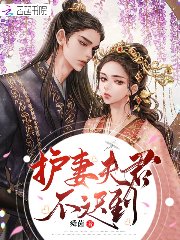 护妻夫君不迟到 封面