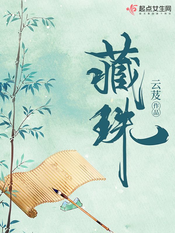 藏珠 封面