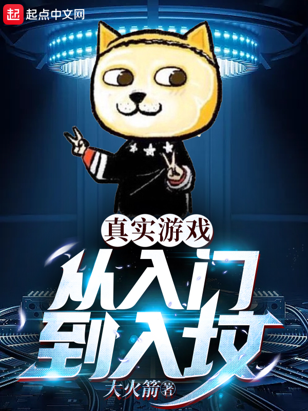 真实游戏：从入门到入坟 封面