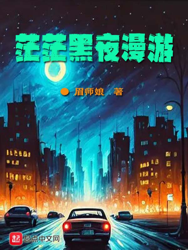 茫茫黑夜漫游小说封面