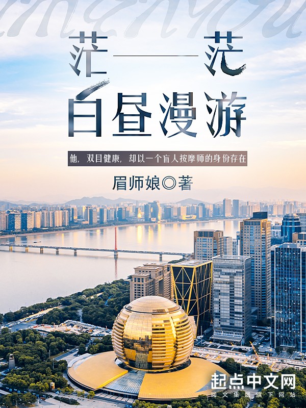 茫茫白昼漫游小说封面
