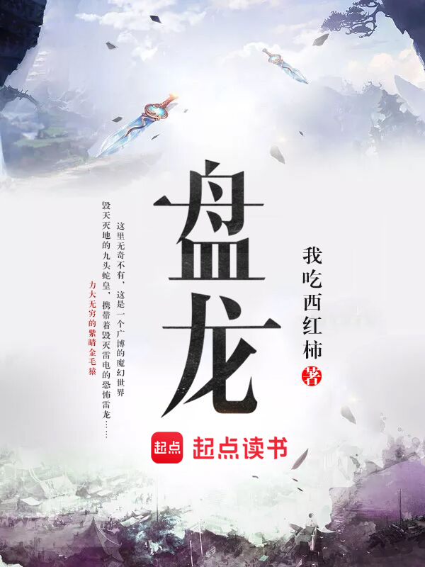 盘龙小说封面