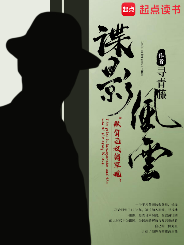 谍影风云小说封面