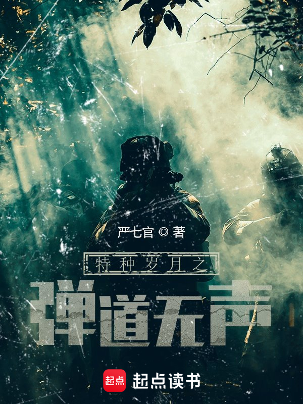 特种岁月之弹道无声 封面