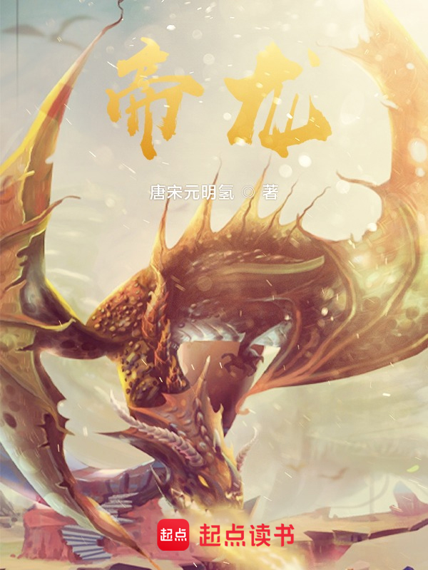 帝龙 封面