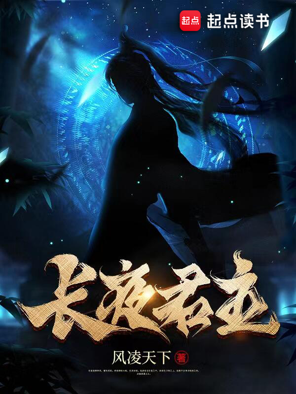 长夜君主小说封面