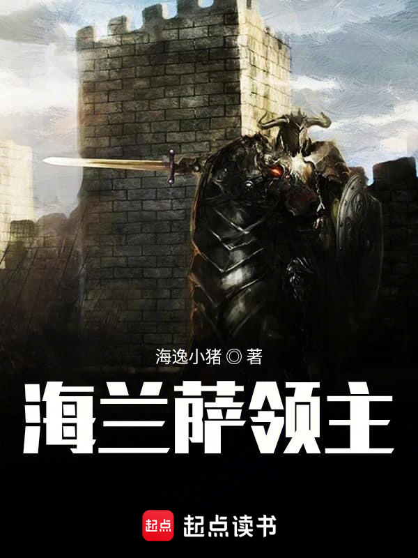 海兰萨领主 封面