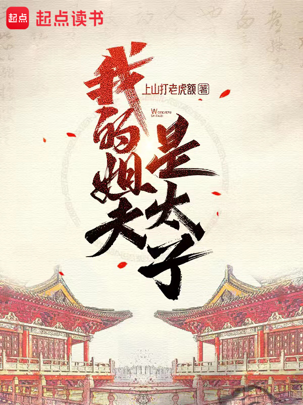 我的姐夫是太子 封面