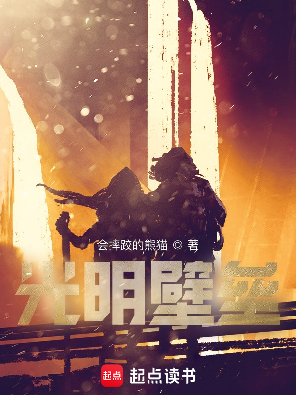 光明壁垒 封面