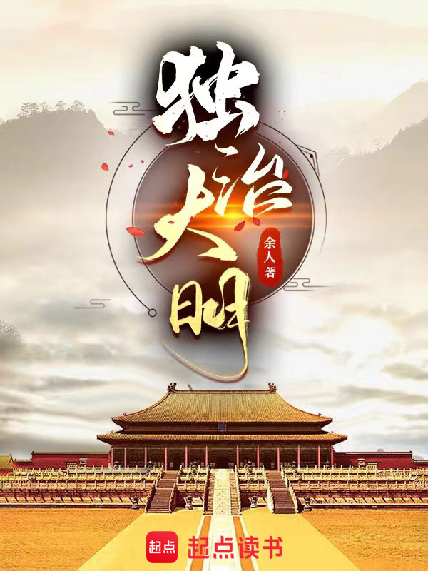 独治大明 封面
