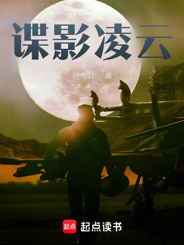 谍影凌云小说封面
