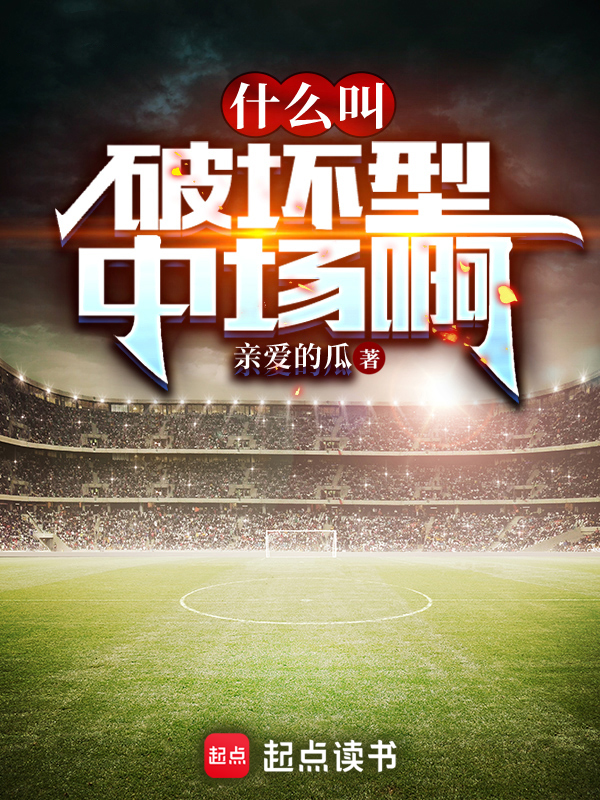 什么叫破坏型中场啊 封面