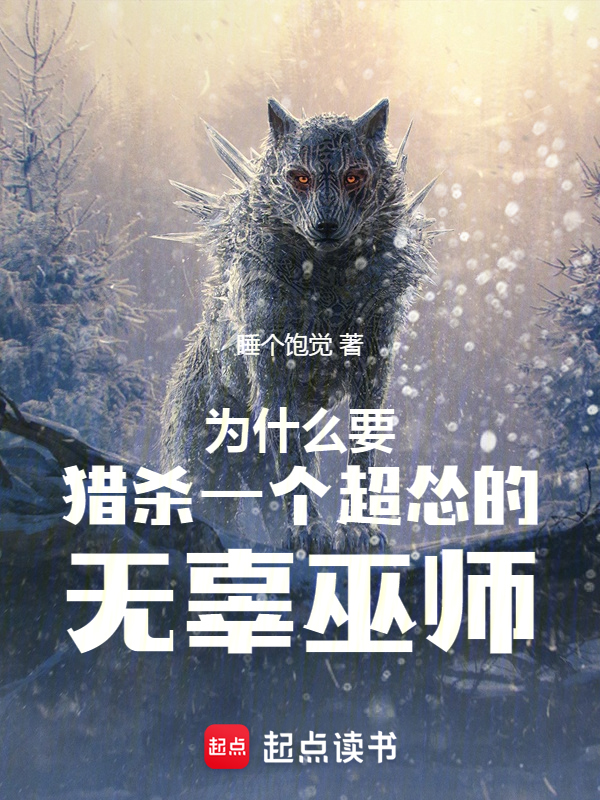这破巫师不当也罢 封面
