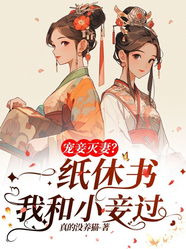 宠妾灭妻?她一纸休书和小妾过 封面