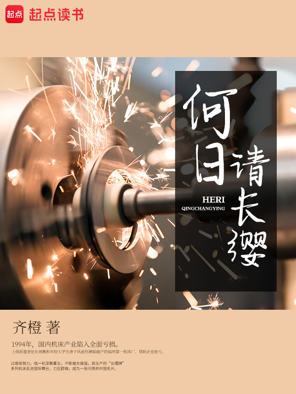 何日请长缨 封面