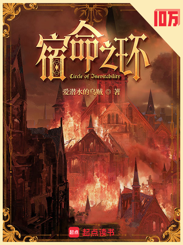 宿命之环小说封面