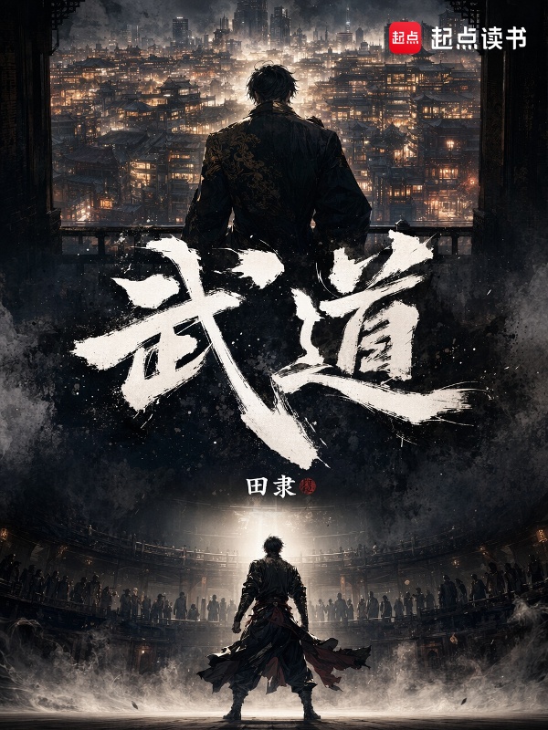 武道！小说封面