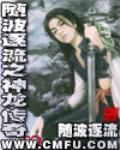 随波逐流之神龙传奇 封面