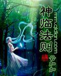 神临法则
