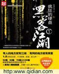 疯狂的硬盘 封面
