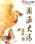 泪洒大清 封面