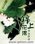 锦上花浓