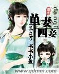 单妻四妾