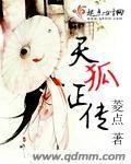 天狐正传