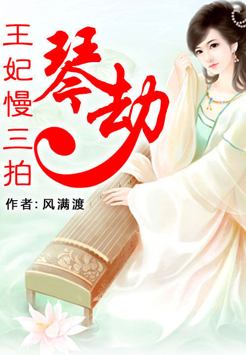 王妃慢三拍：琴劫 封面