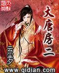 大唐房二
