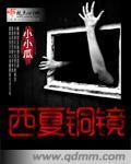 西夏铜镜
