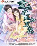 重生之灿如夏花 封面