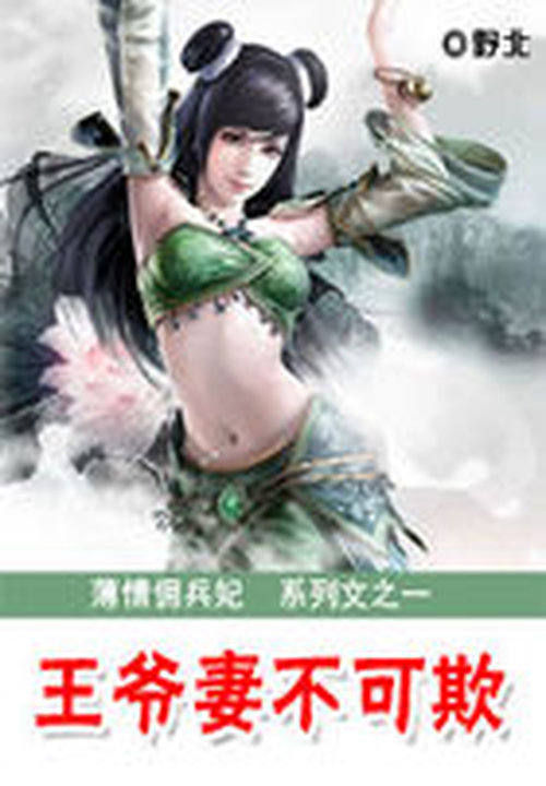 薄情佣兵妃:王爷妻不可欺