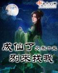 成仙了别来找我 封面