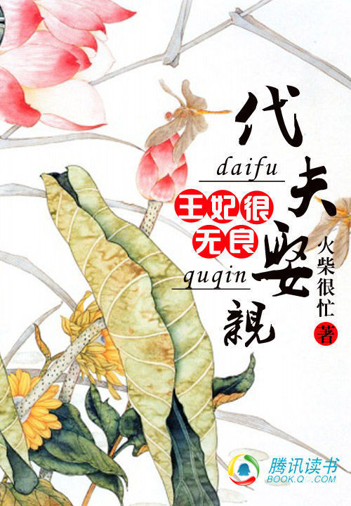 王妃很无良:代夫娶亲