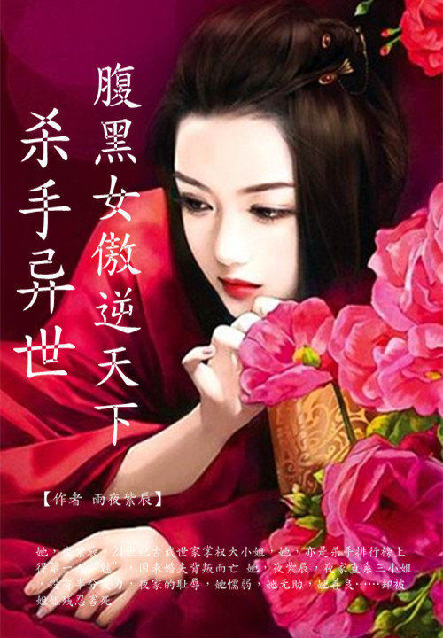 杀手异世:腹黑女傲逆天下