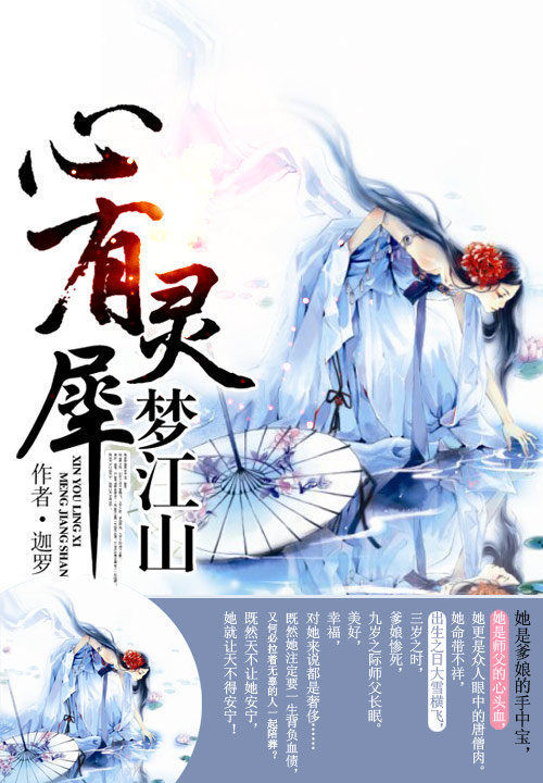 心有灵犀梦江山 封面