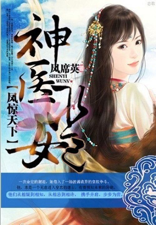 凤惊天下:神医巫妃